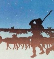 Shepherd_graphic_reduced